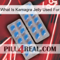 What Is Kamagra Jelly Used For 23